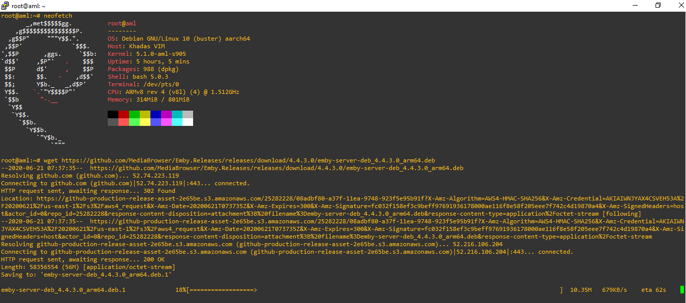 Proses download emby server
